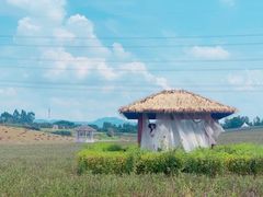 -紫颐香薰山谷景区