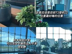 -重庆江北国际机场-T2航站楼