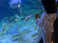 -烟台海昌鲸鲨海洋公园