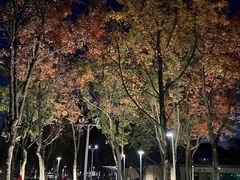 -宁波儿童公园(鄞州区)