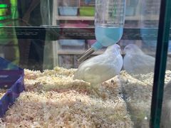 -鹏欣水游城