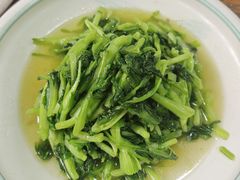 -小小饭店·休闲农庄·安吉松树林里的农家菜