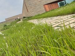 -盘龙城国家考古遗址公园