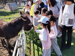 -徐汇区新宜幼稚园