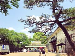 -名古屋城