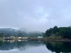 -海南热带雨林国家公园吊罗山景区