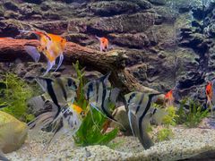 -上海海洋水族馆