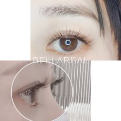 -BELLAREAL新美社