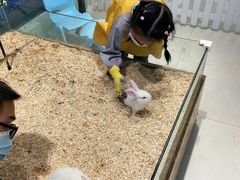 -怪兽屋·羊驼·猫咖·狗咖(俊华广场店)