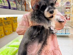 -comecome来吧宠物(奥克斯中心店)