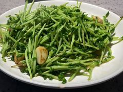 炒豆苗-荣家小吃(紫阳街店)