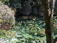 -黄山翡翠谷景区