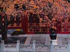 -香山公园