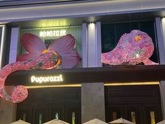 -帕帕拉兹宠物(亚洲旗舰店)