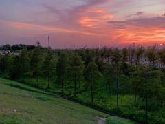 -南汇新城海滩