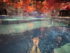 -寻梦盛唐主题水会(龙岗店)