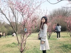 -蜀冈西峰生态公园