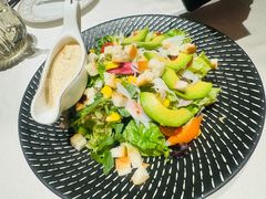 -迦南苑·新派青岛菜·生日纪念日主题餐厅
