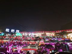 -枇杷园食为鲜火锅(南山店)