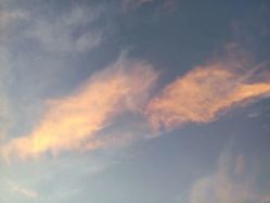-天长地久婚纱摄影(宝安梦幻影城西乡店)