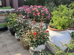 -新木器时代餐厅(太湖新天地店)