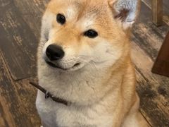 -三目仓咖啡(贤南路店)