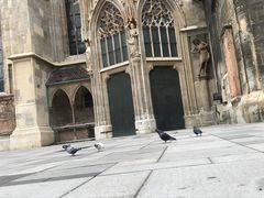 -斯蒂芬主教座堂(Stephansdom)
