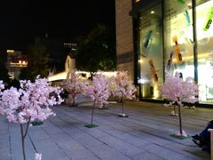 -大洋晶典(东街店)