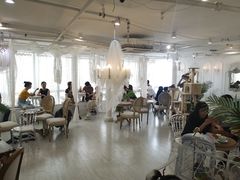 大堂-共舞时光猫咖·狗咖(新街口店)