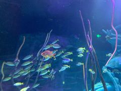 -沈阳海洋探索中心