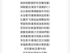 -上海闵行星河湾酒店