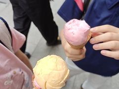 -成裕雪糕店(士多店)