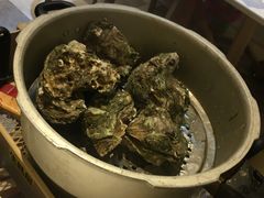 高压锅生蚝-琼大师东方烤乳猪(亚特兰蒂斯店)