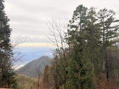 -大围山国家森林公园