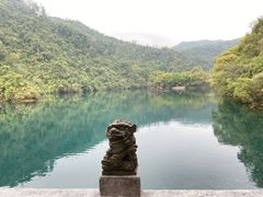 -鼎湖山风景区
