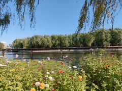 -长春公园(普阳街道)