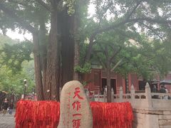 -红螺寺