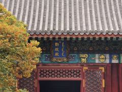 -香山公园