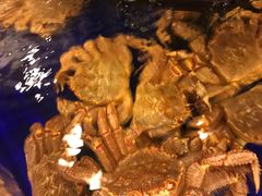 -蟹道乐(道顿堀本店)