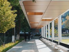 -西北湖绿化广场