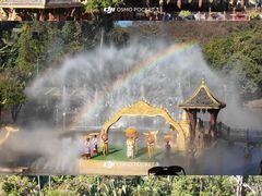 -西双版纳原始森林公园