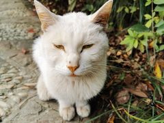 -汇龙潭
