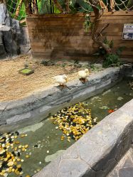 -Zoolung Zoolung动物主题公园(海信广场店)