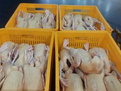 -文杏酒楼(一品天下店)