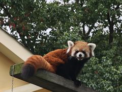 -无锡动物园·太湖欢乐园