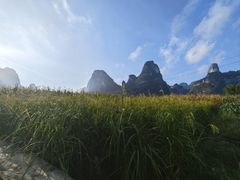-明仕田园