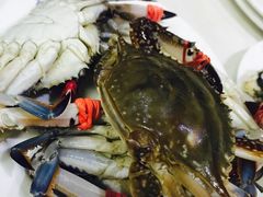 -春华海鲜城(广场西苑店)