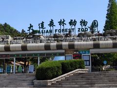 -大连森林动物园