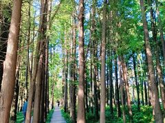 -采石矶景区
