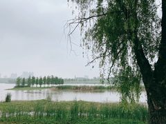 -滨湖塘西河公园